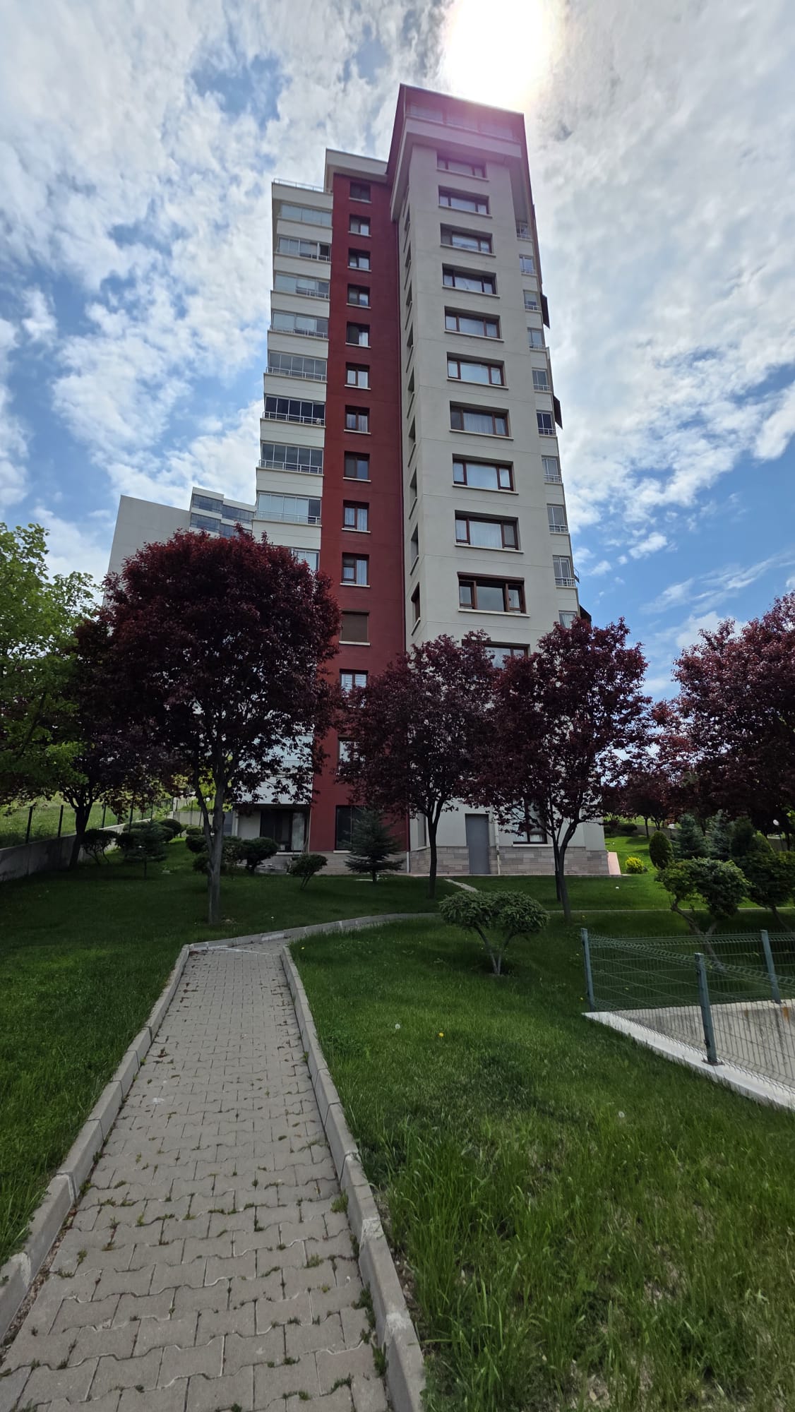 Deniz Yıldızı Kıvrılan Bahçe Yolu
