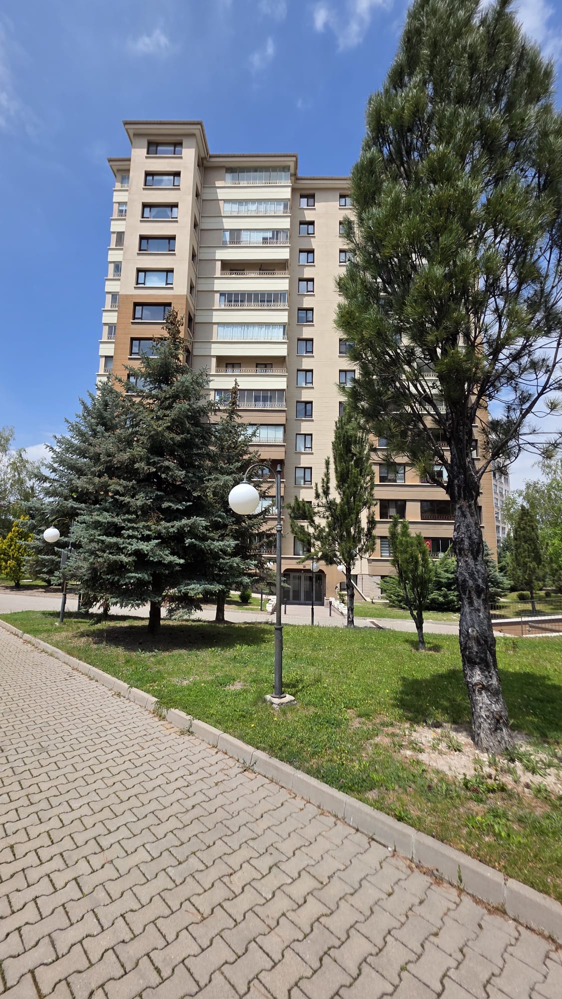 Yaşamkent Sitesi Çam Ağaçları ve Yol